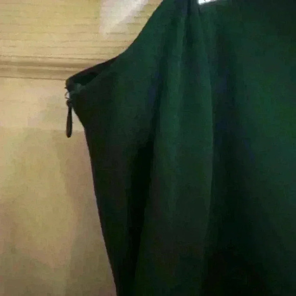 BNWT Pretty Gardens Green Womens Dress size Med - Picture 12 of 15